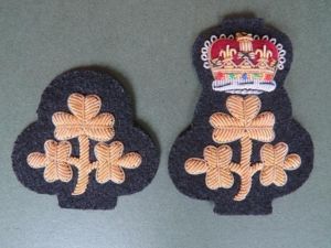 British Army Deputy Lord Lieutenant and Lord Lieutenant of Ireland …