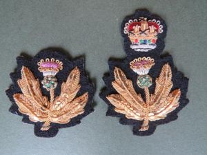 British Army Deputy Lord Lieutenant and Lord Lieutenant of Scotland …