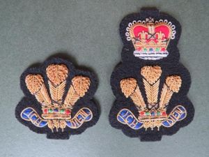 British Army Deputy Lord Lieutenant and Lord Lieutenant of Wales …