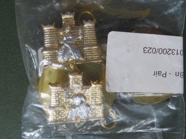 British Army 1st Battalion, The Royal Anglian Regiment Collar Badges — image 2