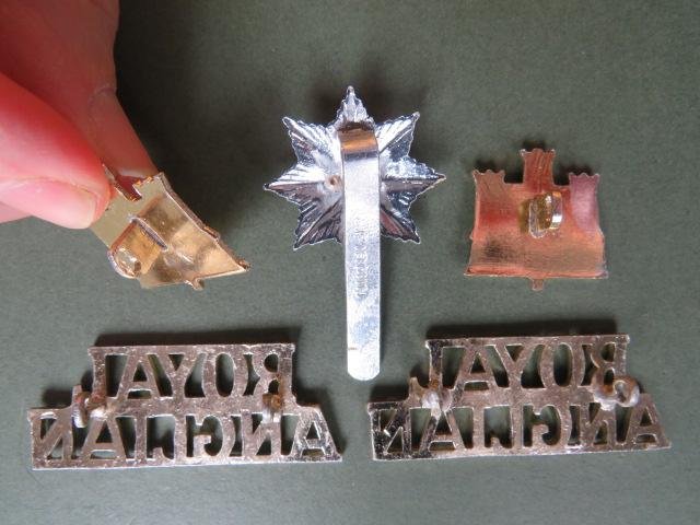 British Army 1st Battalion, The Royal Anglian Regiment Cap & Collar Badges and Shoulder Titles — image 2