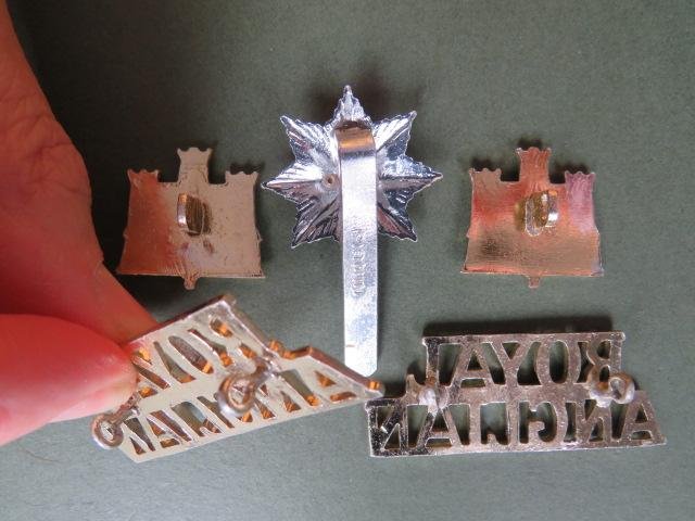 British Army 1st Battalion, The Royal Anglian Regiment Cap & Collar Badges and Shoulder Titles — image 3
