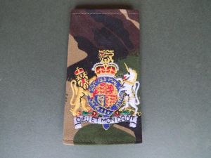 British Army Warrant Officer Class 1 Rank Slide