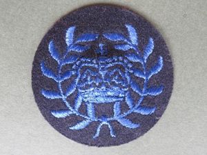 Royal Navy Women's Royal Naval Service Warrant Officer Class 2 …