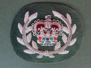 British Army 'Royal Irish Regiment' Warrant Officer Class 2 (RQMS) …