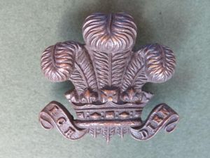 British Army The Royal Wiltshire Yeomanry (Prince of Wales's Own) …