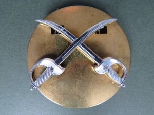 British Army Physical Training Instructor Badge