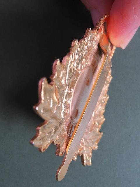 Canada Navy Auxiliary Forces Cap Badge — image 3