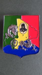 France Army / Foreign Legion Forces in Mali Pocket Crest
