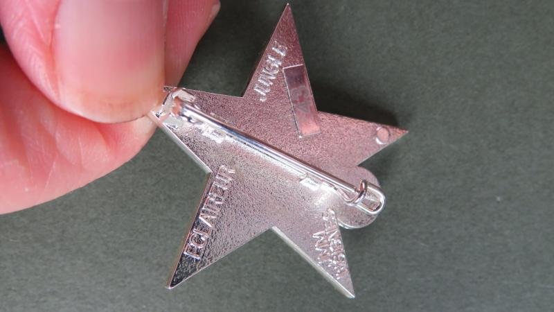 France Foreign Legion 3° Régiment Etranger d' Infanterie, d'Eclaireur Jungle (Jungle Scout) Pocket Crest — image 3