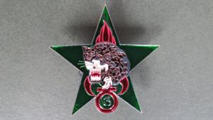 France Foreign Legion 3° Régiment Etranger d' Infanterie, d'Eclaireur Jungle …