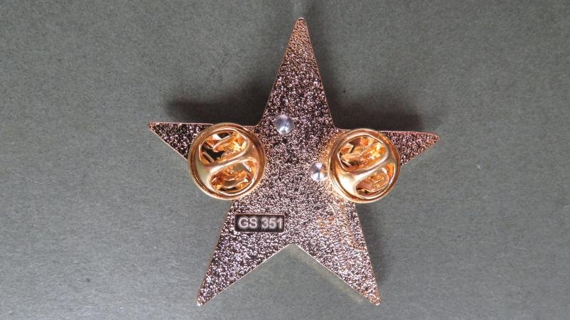 France Foreign Legion Detachment, Mayotte, Nautical Scout Pocket Crest — image 2