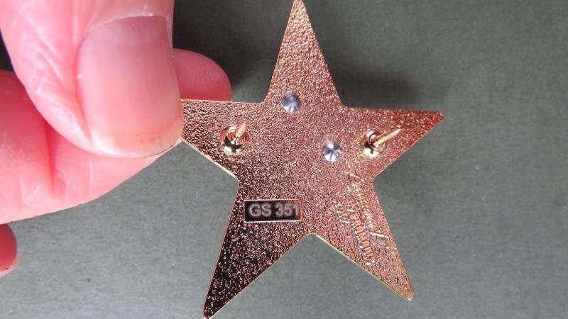 France Foreign Legion Detachment, Mayotte, Nautical Scout Pocket Crest — image 3