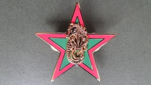 France Foreign Legion Detachment, Mayotte, Nautical Scout Pocket Crest