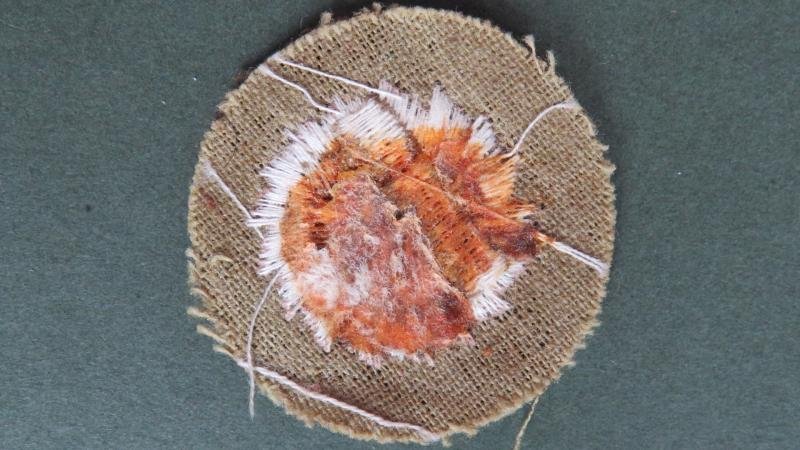 Canada Army 'Woodworking / Joiner & Carpenter' Trade Badge Group 1 — image 2