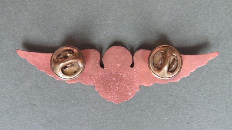 Ecuador Marines Basic Parachute Wings — image 2