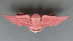 Ecuador Marines Basic Parachute Wings