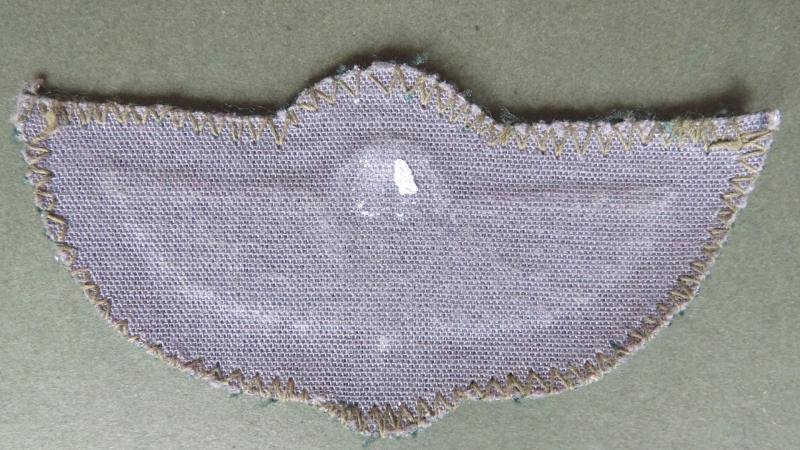 Zimbabwe Army SAS Dress Greens Parachute Wings — image 2