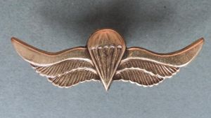 Russian Federation VDV SPETSNAZ Parachute Wings