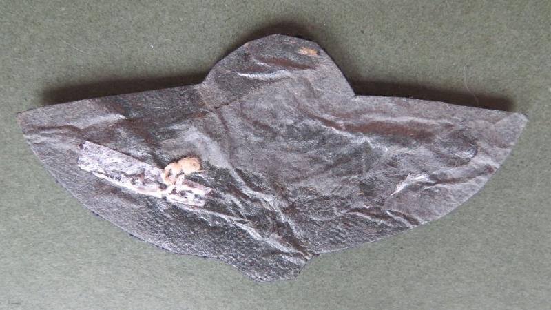 Canada Army 1980's RMC (Royal Military College) Mess Dress Parachute Wings — image 2