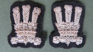 British Army The Welsh Brigade Officer's 'Mess Dress ' Lapel …