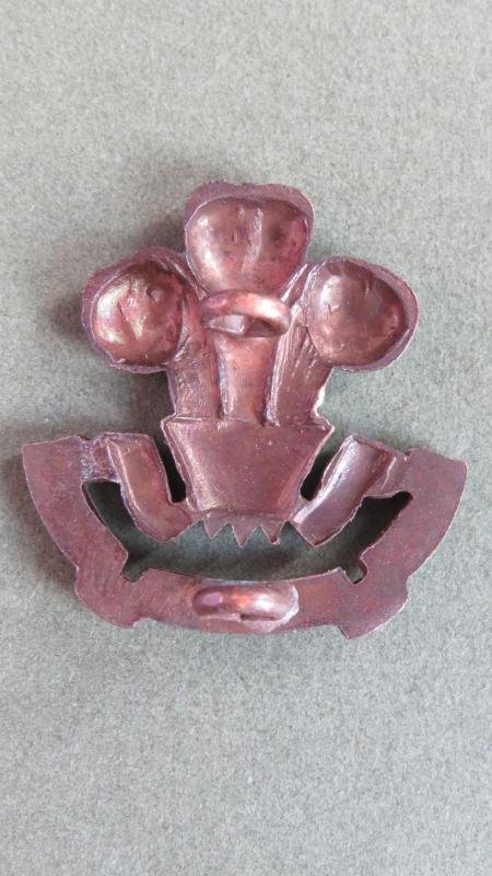 British Army The South Lancashire Regiment (The Price of Wales's Volunteers) Officers' Service Dress Collar Badge — image 2