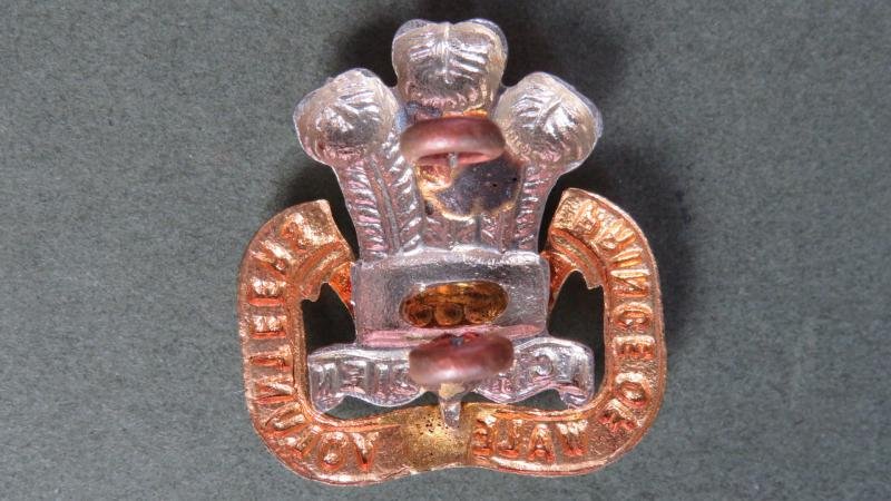 British Army The South Lancashire Regiment (The Price of Wales's Volunteers) Collar Badge — image 2