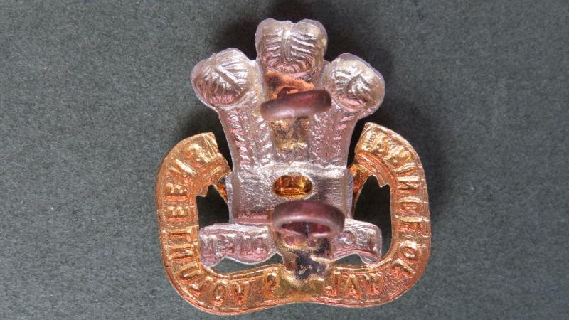 British Army The South Lancashire Regiment (The Price of Wales's Volunteers) Collar Badge — image 2