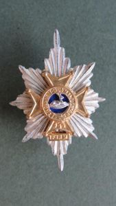 British Army The Worcestershire and Sherwood Foresters Regiment Officers Collar …