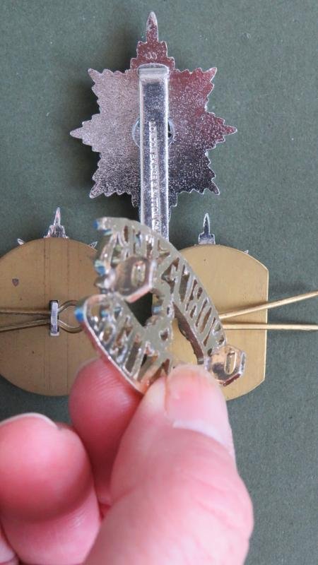 British Army The Worcestershire and Sherwood Foresters Regiment Cap & Collar Badges & Shoulder Title — image 3