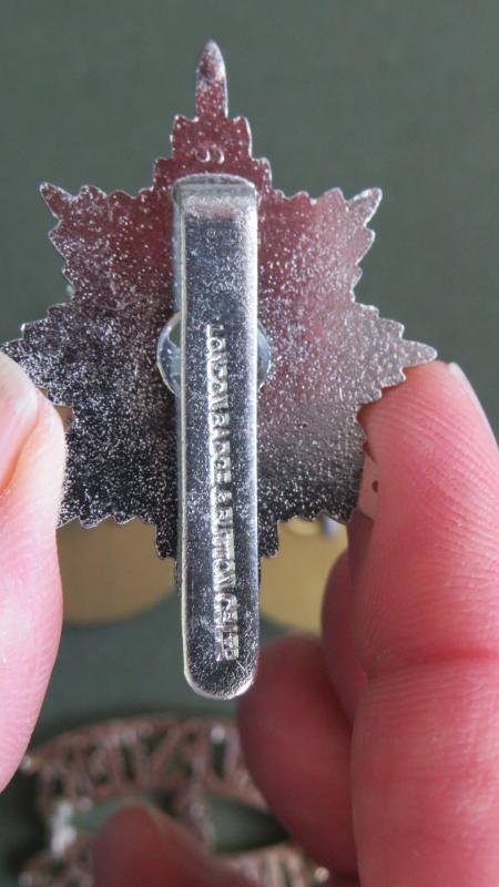 British Army The Worcestershire and Sherwood Foresters Regiment Cap & Collar Badges & Shoulder Title — image 4