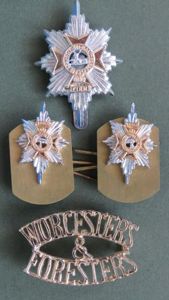 British Army The Worcestershire and Sherwood Foresters Regiment Cap & …