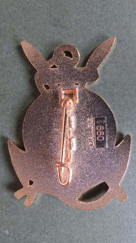 France Foreign Legion 1° Régiment Etranger de Cavalerie, 1 Escuadron, '3/5eme R.I.A.O.M, (Régiment Interarmes d'Outre-Mer) Djibouti' Oct 2024- Feb 2025 Deployment Pocket Crest — image 2