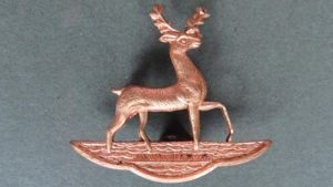 British Army The Bedfordshire & Hertfordshire Regiment Collar Badge
