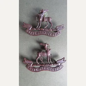 British Army The Royal Warwickshire Regiment Officers' Service Dress Collar …