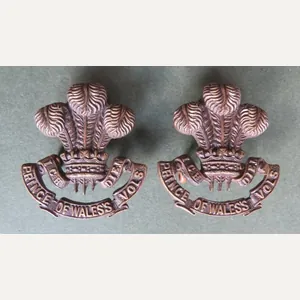 British Army The South Lancashire Regiment (Prince of Wales's Own) …