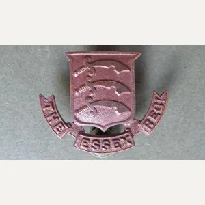 British Army The Middlesex Regiment Officers Service Dress Collar Badge