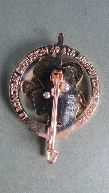 France Brevet Aguerrissement Zone Désertique, F.F.D.J (Forces Françaises de Djibouti) Pocket Crest — image 2