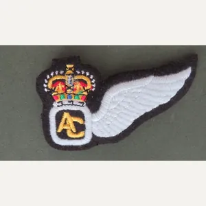 British Army & Royal Marines 'Air Crew' Wing