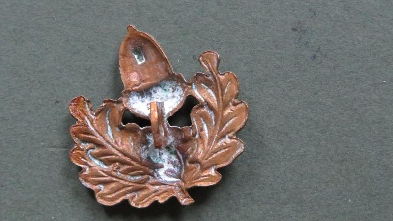 British Army Post WW2 The Cheshire Regiment Collar Badge — image 2