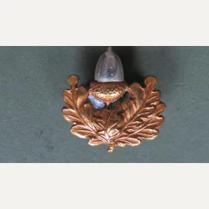 British Army Post WW2 The Cheshire Regiment Collar Badge