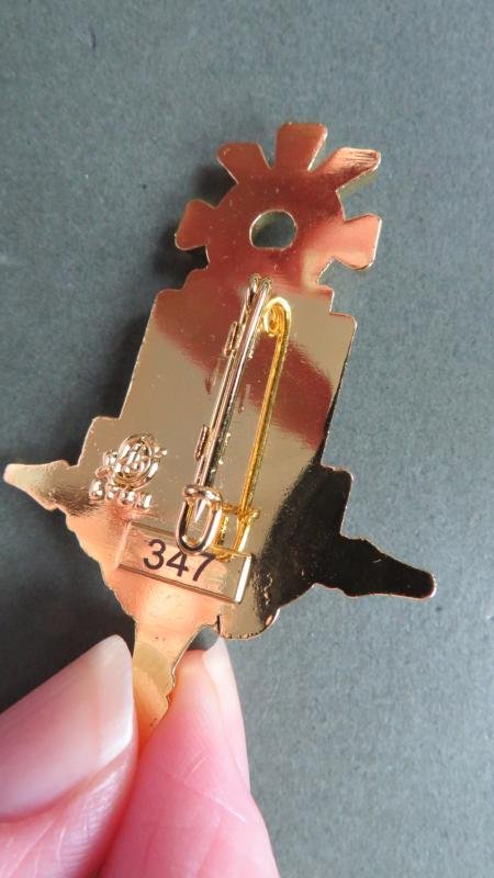 France Foreign Legion 13e Demi-Brigade de Légion Étrangère, (13e DBLE) Operation BARKHANE 2018 Pocket Crest — image 3