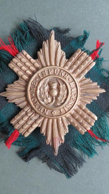 British Army Scots Guards OR's Bandsman's Music Case Pouch Badge Badge — image 2