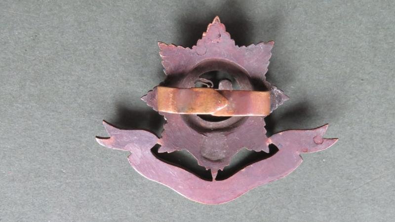 British Army The Worcestershire Regiment Officers Service Dress Cap Badge — image 2