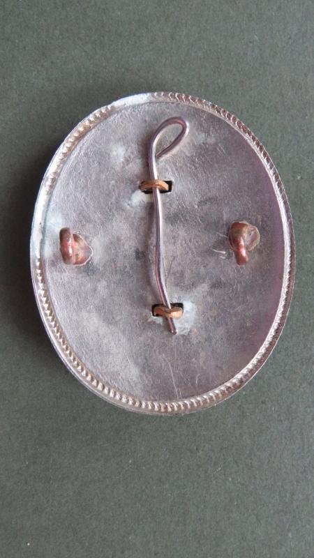 British Army 3rd Carabiniers (Prince of Wales's Dragoon Guards) Regimental Arm Badge — image 3