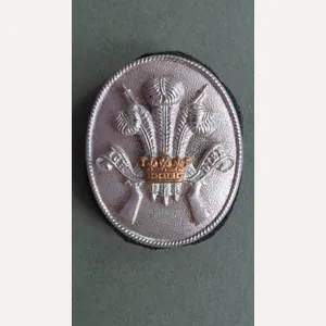 British Army 3rd Carabiniers (Prince of Wales's Dragoon Guards) Regimental …