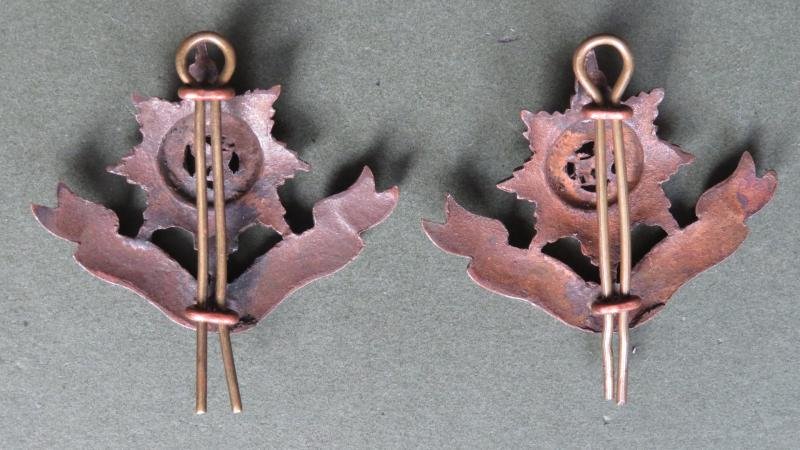 British Army The Worcestershire Regiment Officers Service Dress Collar Badges — image 2