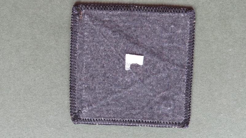 Royal Air Force Regiment 5 Force Protection Wing Shoulder Patch — image 2