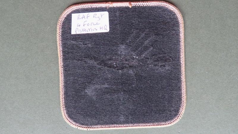 Royal Air Force Regiment No4 Protection Wing Shoulder Patch — image 2