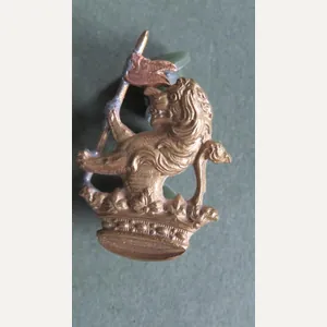 New Zealand 5th (Wellington Rifles) Regiment Collar Badge